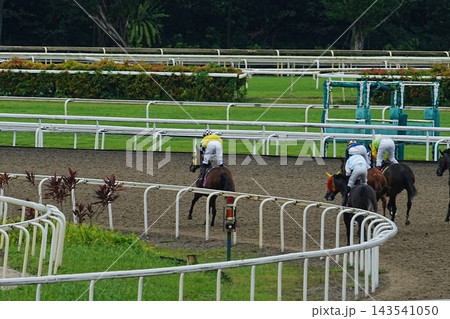 Horse Racing Event at the Racetrack 143541050