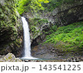 秋田県・夜明島渓谷の泊滝　緑に囲まれた岩壁を流れ落ちる滝 143541225