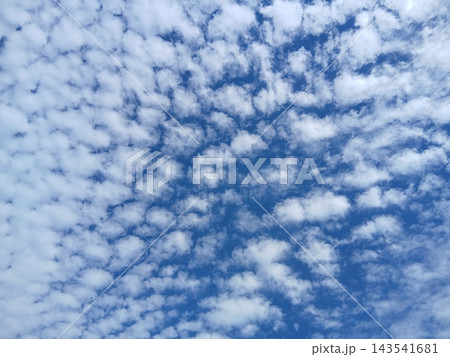 青空一面に広がる白い雲と自然の風景 143541681