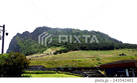 済州島 城山日出峰 城山里 遊歩道 韓国 済州島 城山日出峰 城山里 遊歩道 韓国 143542401