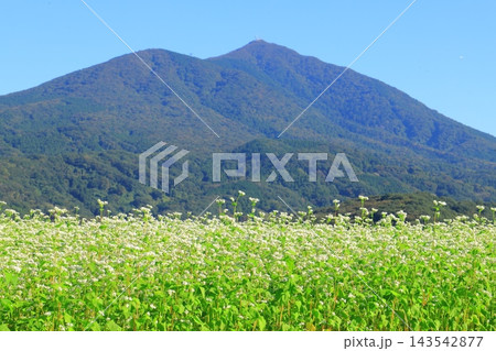 豊穣の里、筑波山麓とそば畑 豊穣の里、筑波山麓とそば畑 143542877