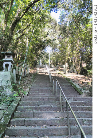 木々に囲まれた切幡寺の長い石段と緑の参道 木々に囲まれた切幡寺の長い石段と緑の参道 143542911
