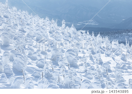 山形蔵王の白銀世界からの地蔵岳の樹氷 山形蔵王の白銀世界からの地蔵岳の樹氷 143543895