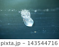 垂れるしずく 143544716