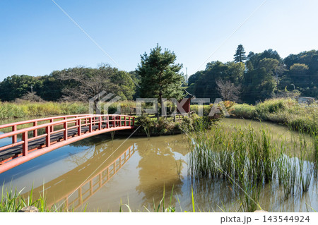 弁天沼（埼玉県東松山市） 143544924