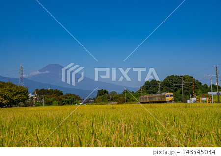 【静岡県】黄金色（こがねいろ）の田を走る黄色の電車、後方に富士山 143545034