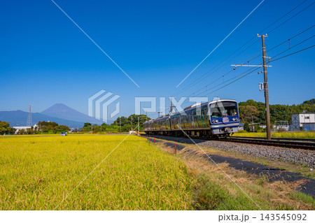 【静岡県】黄金色(こがねいろ)の田を走る伊豆箱根電車、後方に富士山 【静岡県】黄金色(こがねいろ)の田を走る伊豆箱根電車、後方に富士山 143545092