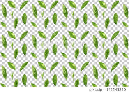 Seamless pattern background of hand-painted watercolor tea leaves 143545250