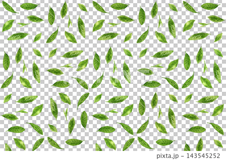 Seamless pattern background of hand-painted watercolor tea leaves Seamless pattern background of hand-painted watercolor tea leaves 143545252