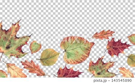 Autumn leaf rectangular banner from fall colorful different trees. Realistic hand painted watercolor illustration, Nature forest foliage coloured in red, orange and green gold nature isolated on white Autumn leaf rectangular banner from fall colorful different trees. Realistic hand painted watercolor illustration, Nature forest foliage coloured in red, orange and green gold nature isolated on white 143545890