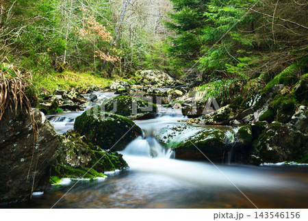 waterfall in deep forest 143546156
