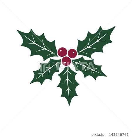 A simple and festive vector illustration of holly leaves and red berries, perfect for holiday designs. A simple and festive vector illustration of holly leaves and red berries, perfect for holiday designs. 143546761