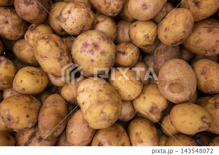 Pile of unpeeled yellow potatoes with rough skin and earthy texture. Pile of unpeeled yellow potatoes with rough skin and earthy texture. 143548072