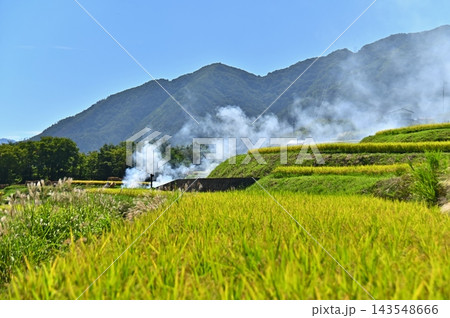 姨捨棚田の秋景色 姨捨棚田の秋景色 143548666
