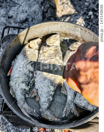 Fried fish is being cooked on a camping stove next to a fire. The scene shows someone preparing the fish in a pot. It is bright and sunny outside 143548686