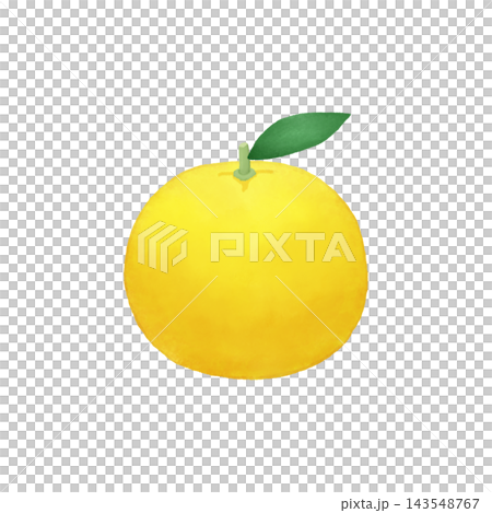 柚子的水彩風格插畫 柚子的水彩風格插畫 143548767