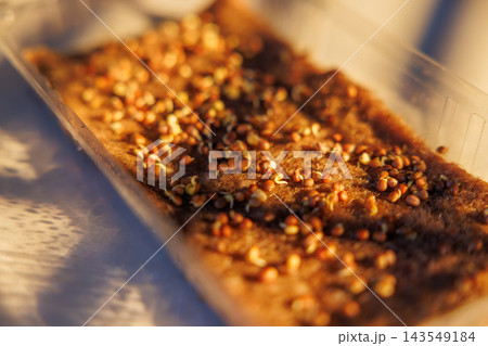 Sprouting seeds on growing mat in plastic tray Sprouting seeds on growing mat in plastic tray 143549184