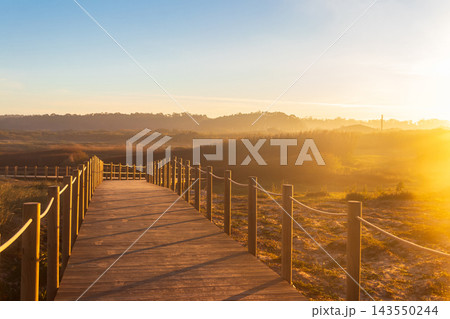 Scenic view of a wooden boardwalk path illuminated by a bright sunrise with golden side light on the Camino de Santiago pilgrimage route in Portugal Scenic view of a wooden boardwalk path illuminated by a bright sunrise with golden side light on the Camino de Santiago pilgrimage route in Portugal 143550244