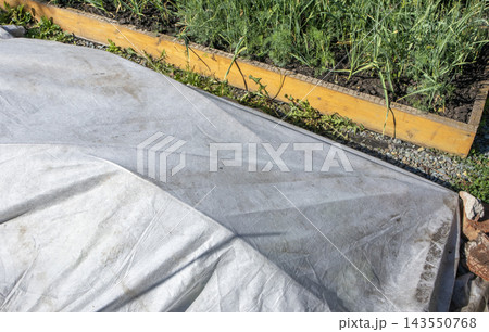 Gray protective fabric covering a garden bed beside yellow edging and green plants outdoors Gray protective fabric covering a garden bed beside yellow edging and green plants outdoors 143550768