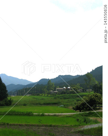 北摂・棚田_1 北摂・棚田_1 143550816