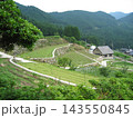 北摂・棚田_2 143550845