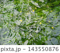 京都・梅花藻_1 143550876