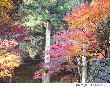 比叡山 延暦寺 比叡山 延暦寺 143550877
