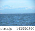 検見川浜からう見える雪の無い富士山 143550890