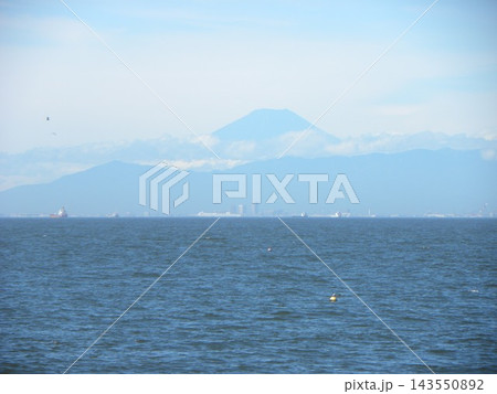 検見川浜での雪の無い富士山 検見川浜での雪の無い富士山 143550892