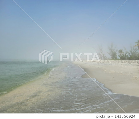 Foggy Beach at Dawn With Soft Mist Over Sandy Shoreline 143550924
