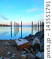 Weathered Pilings and Rocky Shore at Low Tide, Vertical 143551791
