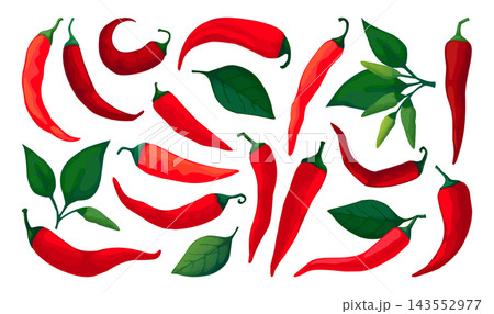 Chili pepper. Red spicy mexican icon, paprika symbol shape or fresh vegetable chile cook. Hand drawn spicy vegetables with green leaves. Vector cartoon flat isolated illustration 143552977