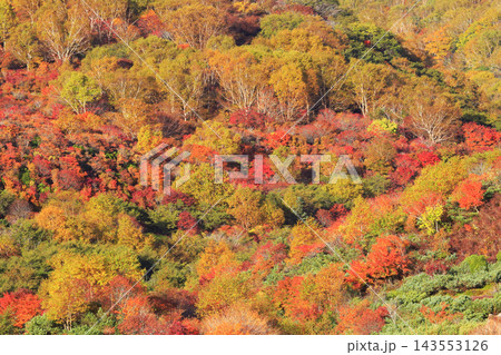 那須高原の紅葉 那須高原の紅葉 143553126