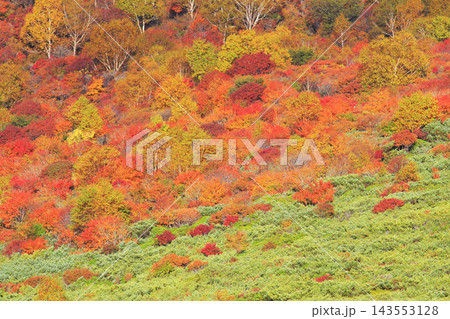 那須高原の紅葉 143553128