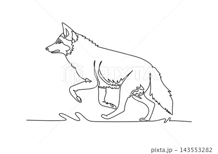 Single one line drawing wild coyote or wolf trotting stealthily through a deciduous forest floor. Bushy tail, alert pointed ears, agile motion. Continuous line draw design graphic vector illustration Single one line drawing wild coyote or wolf trotting stealthily through a deciduous forest floor. Bushy tail, alert pointed ears, agile motion. Continuous line draw design graphic vector illustration 143553282