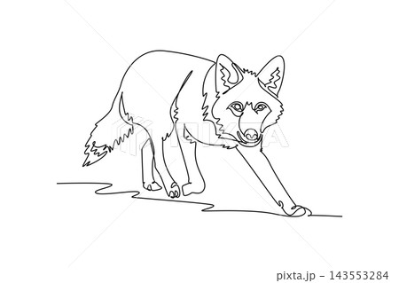 Continuous one line drawing wild coyote or wolf prowling stealthily forward, showing its pointed ears, keen gaze, bushy coat, focused stalking gait. Single line draw design vector graphic illustration Continuous one line drawing wild coyote or wolf prowling stealthily forward, showing its pointed ears, keen gaze, bushy coat, focused stalking gait. Single line draw design vector graphic illustration 143553284