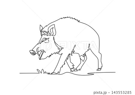 Continuous one line drawing fierce wild boar snarling aggressively with open jaws showing teeth and sharp tusks, bristled back fur, powerful stance. Single line draw design vector graphic illustration 143553285