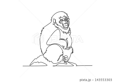Single one line drawing fluffy Japanese macaque or snow monkey sitting calmly on a rock, showing its fur, facial contours, and relaxed posture. Continuous line draw design graphic vector illustration Single one line drawing fluffy Japanese macaque or snow monkey sitting calmly on a rock, showing its fur, facial contours, and relaxed posture. Continuous line draw design graphic vector illustration 143553303