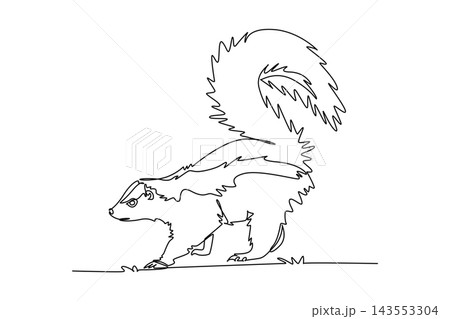 Single one line drawing wild skunk walking with large bushy tail raised high in defensive warning posture, distinct traits of woodland wildlife. Continuous line draw design graphic vector illustration 143553304