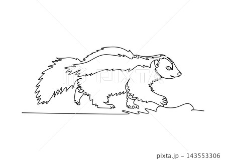 Single one line drawing a wild funny skunk walking along the woodland ground with its distinctive dorsal stripe, bushy tail, fluffy fur. Modern continuous line draw design graphic vector illustration 143553306
