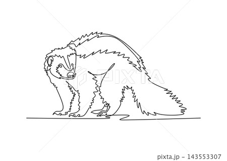 Single one line drawing wild skunk animal standing in the forest. Wildlife diversity, fluffy fur creature, deciduous fauna nature conservation. Continuous line draw design graphic vector illustration 143553307