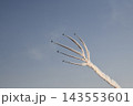 2026鴻巣花火大会ブルーインパルス飛行 143553601