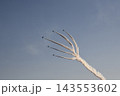 2026鴻巣花火大会ブルーインパルス飛行 143553602