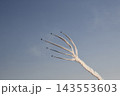 2026鴻巣花火大会ブルーインパルス飛行 143553603