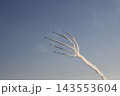 2026鴻巣花火大会ブルーインパルス飛行 143553604
