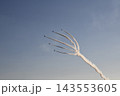 2026鴻巣花火大会ブルーインパルス飛行 143553605