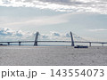 Modern cable-stayed bridge over wide river with passenger boat under cloudy sky 143554073