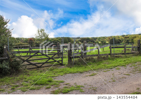 Wooden fence on a horse farm field. Green field with trees on the background. Wooden fence on a horse farm field. Green field with trees on the background. 143554484