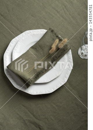 Olive Green Fringed Linen Placemat and Napkin Place Setting 143554781