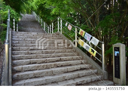 山梨　日本　階段　新倉山浅間公園 143555750